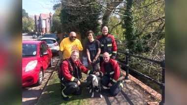 Jesus, a Dog Was Saved From Drowning at Birmingham Lake on Good Friday, Internet Lauds The Coincidence
