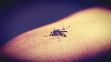 First Malaria Vaccine RTS,S Launched | Important Facts to Know