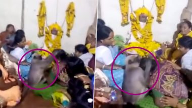 Monkey Attends Funeral and Consoles a Crying Woman in Karnataka (Watch Viral Video)