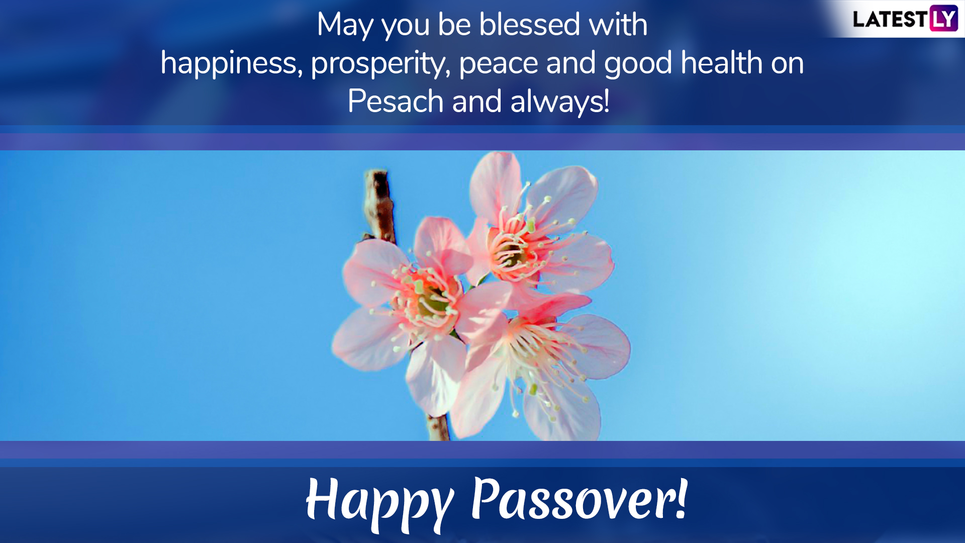 Passover 2019 Greetings WhatsApp Messages GIF Images 