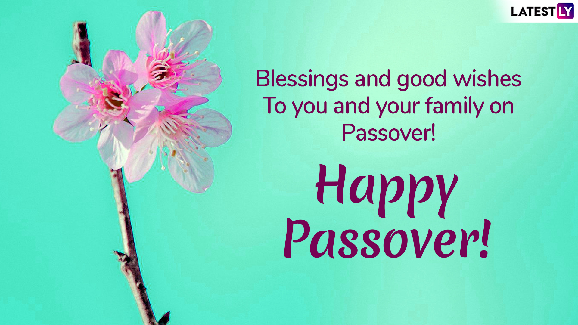Passover 2019 Greetings Whatsapp Messages Images Chag Sameach