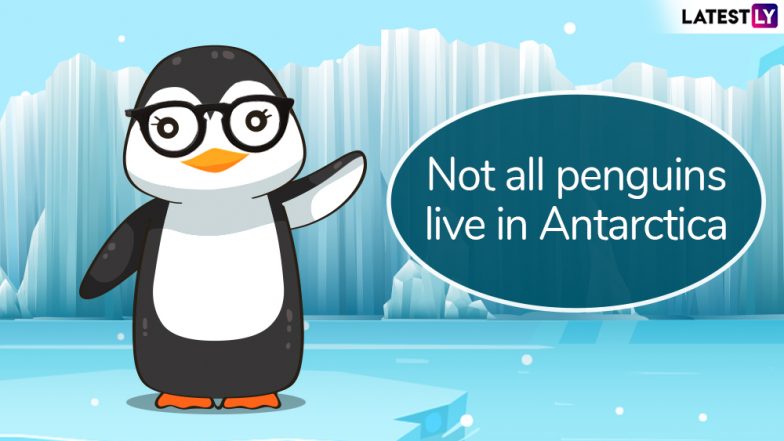 World Penguin Day 2019: Fun Penguin Facts That Show These Aquatic Birds Are Cooler Than You Thought They Were