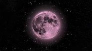 Pink Moon 2019: Know Date, Time And Everything About April's Full Moon on Good Friday