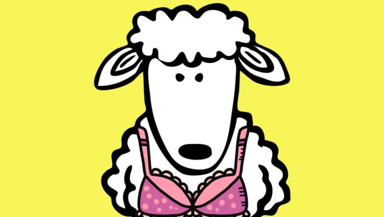 Bra Bra White Sheep? Meet Barbara, the Ewe Who Wears a Double D