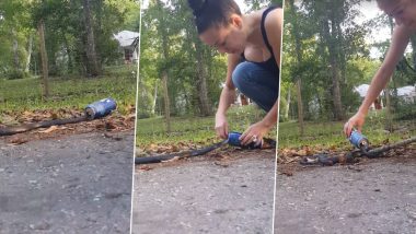 Scared Brooksville Woman Rescues Snake With Head Stuck in Beer Can (Watch Video)
