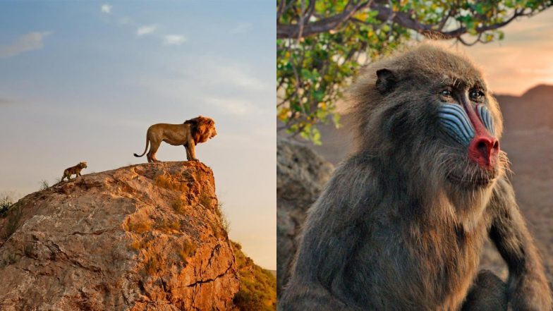 The Lion King Box Office Collection Day 14: Disney's Classic Is Racing Towards Rs 150 Crore Mark in India, Earns Rs 127.32 Crore