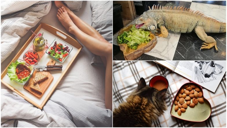 Travel Tip of the Week: From Vampire Hosts to Sleeping With Beautiful Girls, Weird Café Experiences You’ll Get in Japan
