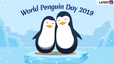 World Penguin Day 2019: History, Significance of the Day Meant for Awareness About the Endangered Aquatic Birds