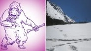 Is Yeti Real? Indian Army Shares Pictures of Yeti's Footprints Found in Himalayas; Know About the Folklore Beasts