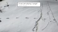 Yeti Footprints' Pictures Turn Into Funny Memes: Twitterati Have a Field Day Sharing Hilarious Jokes on Himalayan Bigfoot