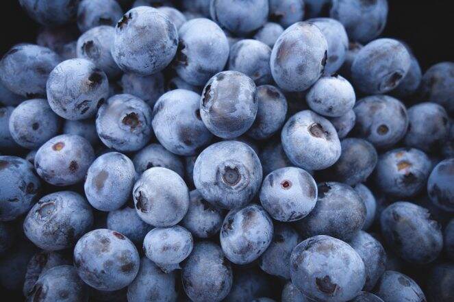 Weight Loss Tip of the Week: How to Use Blueberries to Lose Weight