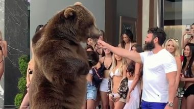 Dan Bilzerian’s Viral Video of Feeding a Grizzly Bear at House Party Goes Viral Says He ‘Loves Animals’ After PETA’s Complain