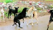 West Bengal: Over 200 Dogs Found Dead in 3 Days in Bishnupur Town Triggering Panic Among People