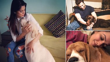 National Pet Day 2019: Jennifer Winget, Karan Patel, Anita Hassanandani – 5 Stars You Didn’t Know Were Animal Lovers (View Pics)