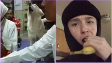 Viral Videos of the Week: From Dog Attending Keertan to Shell on Challenge, Watch Top 7 Clips on Trend