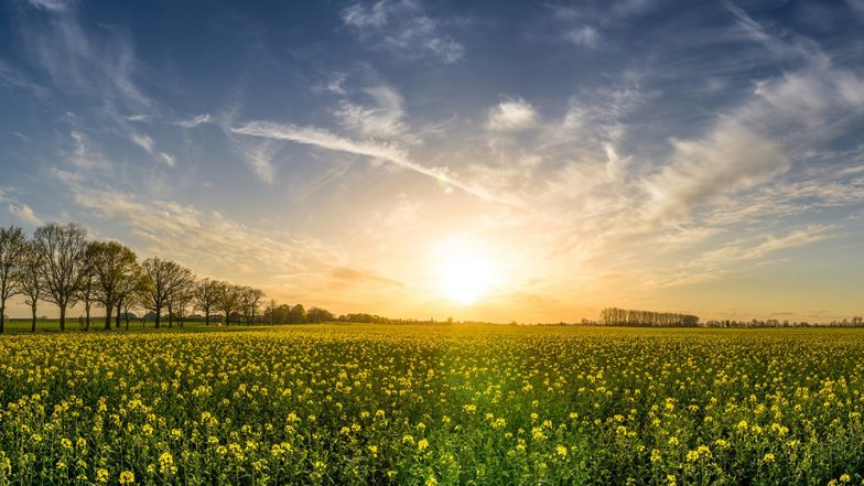 Earth Day 2019: #EarthDayRemindsMeThat Trends As Twitterati Share Some of Their Thoughtful, Sarcastic and Hilarious Tweets
