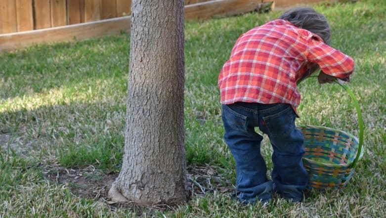 What is Egg Hunt on Easter Sunday 2019? Know Everything About The Popular Festive Game What is Egg Hunt on Easter Sunday 2019? Know Everything About The Popular Festive Game