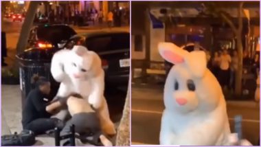 Easter Bunny to the Rescue! Rabbit ‘Vigilante’ Gallantly Hops In to Defend Woman in Orlando Street Fight (Watch Bizarre Viral Video)