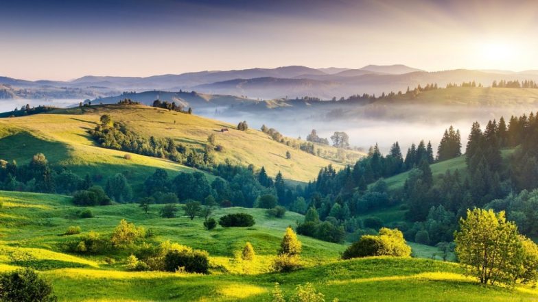 Travel Tip of The Week: Wayanad to Shillong, 6 Hill Stations in India That You Should Visit to Feel The Chill This Summer
