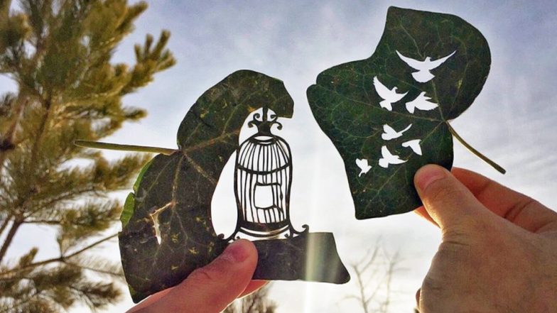 Artist Carves Beautiful Designs on Leaflets That Will Leave You Spellbound