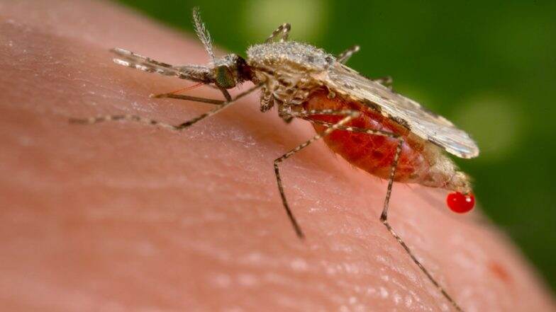 World's First Malaria Vaccine for Children Rolled Out in Africa in time for World Malaria Day World's First Malaria Vaccine for Children Rolled Out in Africa in time for World Malaria Day