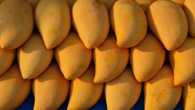 GI Certified Jardalu Mangoes First Commercial Consignment Exported From Bihar to UK