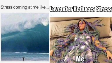 Stress Awareness Month 2019: Funniest Memes, Jokes and GIFs to Give You  That Much-Needed Stress Relief | 👍 LatestLY