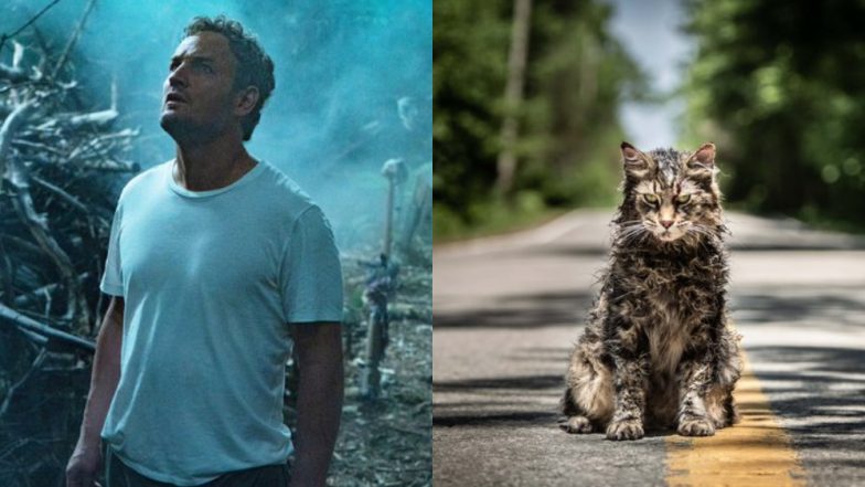 Pet Sematary: All the References to Stephen King’s It, Cujo and The Shining That You Can Spot in the Film (SPOILER ALERT)