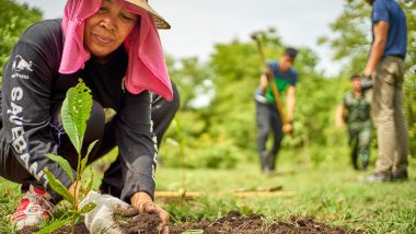 International Day for Preventing Exploitation of Environment in War and Armed Conflict 2019: Date and Significance of the UN Day