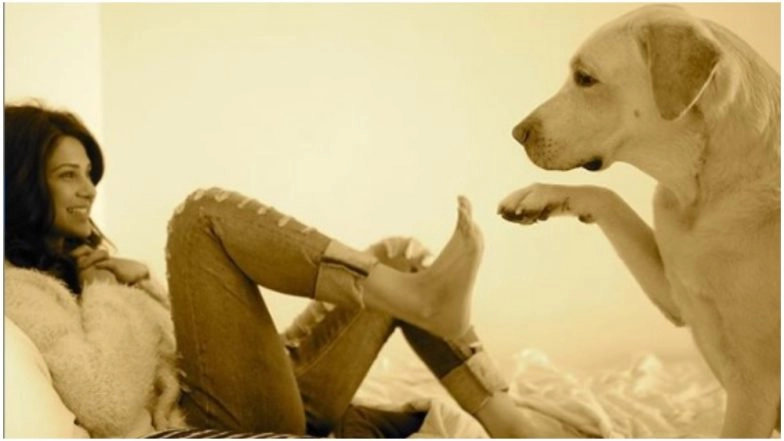 Jennifer Winget’s Picture With Stray Dogs From Her Vacation Is Just PAW-FECT