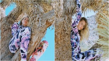 Miley Cyrus Posts Photo Sitting on 'Protected' Joshua Tree; Outraged Fans File Petition Seeking Apology From Singer