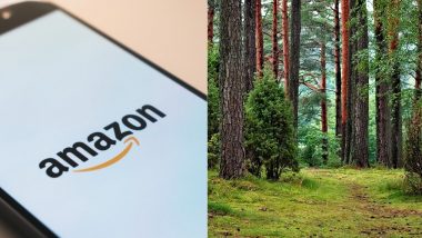 Amazon.com vs Amazon: South American Countries Wants to Share Governance of .Amazon Domain Name With E-Commerce Site