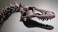 Fossil Hunter Tries to Sell Baby T-Rex Dinosaur Skeleton on eBay For Rs 20 crore And Palaeontologists Are Irked