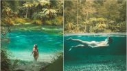 Australian Instagram Model Accused of Swimming in 'Sacred' Natural Springs in New Zealand, Rubbishes Claim (See Pictures)