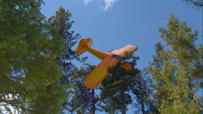 Small Plane Crash Lands on Top of Tree in Idaho, Firefighters Rescue Pilot (Watch Video)