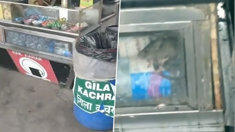Rat Water Video Of Bandra Railway Station Goes Viral Days After Kurla's Nimbu Paani Episode
