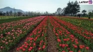 Jammu and Kashmir: Asia&rsquo;s Largest Indira Gandhi Memorial Tulip Garden in Srinagar Opens for Public
