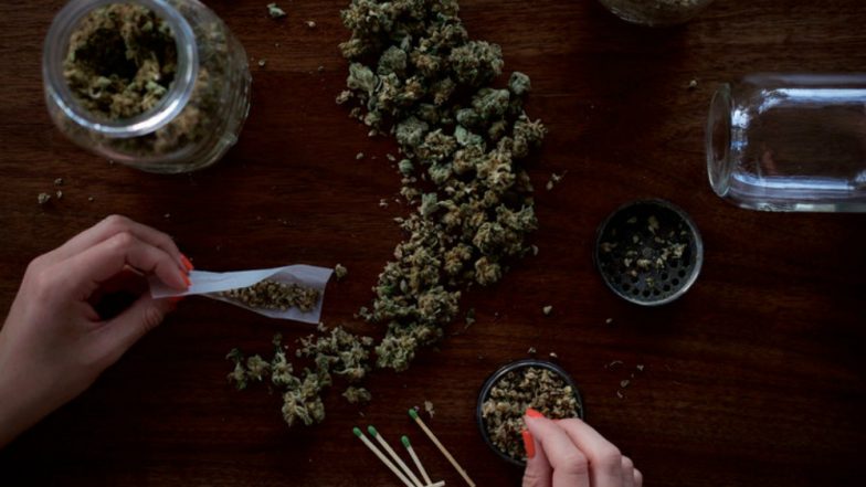 UP Shocker: 6 Members of Family in Kannauj District Eat ‘Ganja Sabzi' Thinking It's Methi, Hospitalised