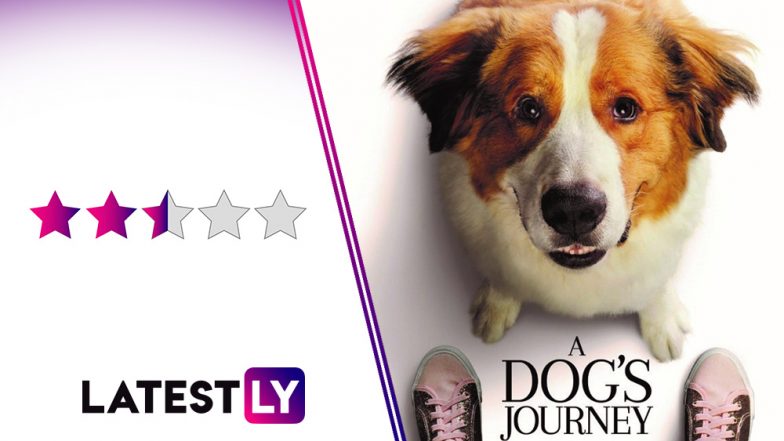 A Dog’s Journey Movie Review: A Sappy, Melodramatic Yarn for Dog Lovers