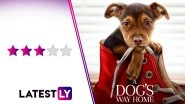 A Dog&rsquo;s Way Home Movie Review: A Predictable but Moving Treat for All Canine Lovers