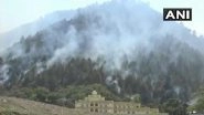 Uttarakhand: Wildfire Grips Forests of Tehri and Haldwani