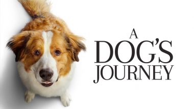 A Dog's Journey Movie Review: A Sappy Treat for Dog Lovers