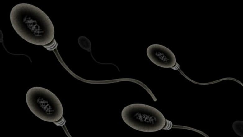 Men Too Have Ticking 'Biological Clock' Just Like Women: Study Men Too Have Ticking 'Biological Clock' Just Like Women: Study