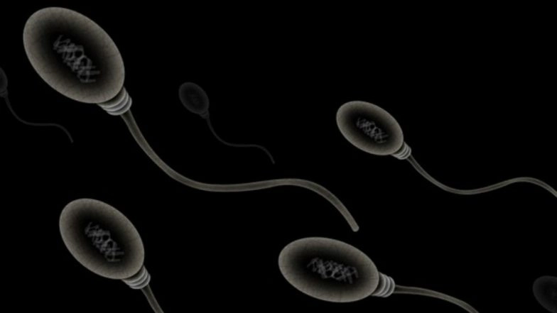 Men Too Have Ticking 'Biological Clock' Just Like Women: Study
