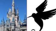 Woman Attacked By Bird at Disney World Sues Theme Park After Suffering Brain Injury