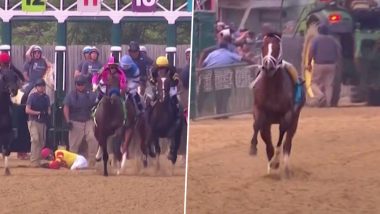 Bodexpress, the Horse That Ran Without a Jockey Hailed As the Real Hero of the 2019 Preakness and Not War of Will by Twitteratti for Winning Hearts!