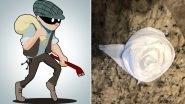 Burglar Breaks Into US Home, Cleans it and Leaves Origami Roses Made From Toilet Paper in Bathroom! (See Picture)