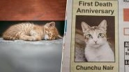 Pet Cat 'Chunchu Nair' Passes Away, Internet Hearts The Family's Gesture of Obituary Ad in Newspaper