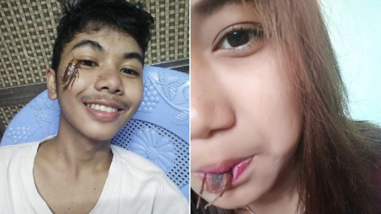 Cockroach Challenge: People Are Putting Creepy Crawlies on Their Faces as Part of Bizarre Internet Trend (See Gross Pics)