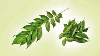 Ways To Use Curry Leaves Or Kadi Patta To Lose Weight